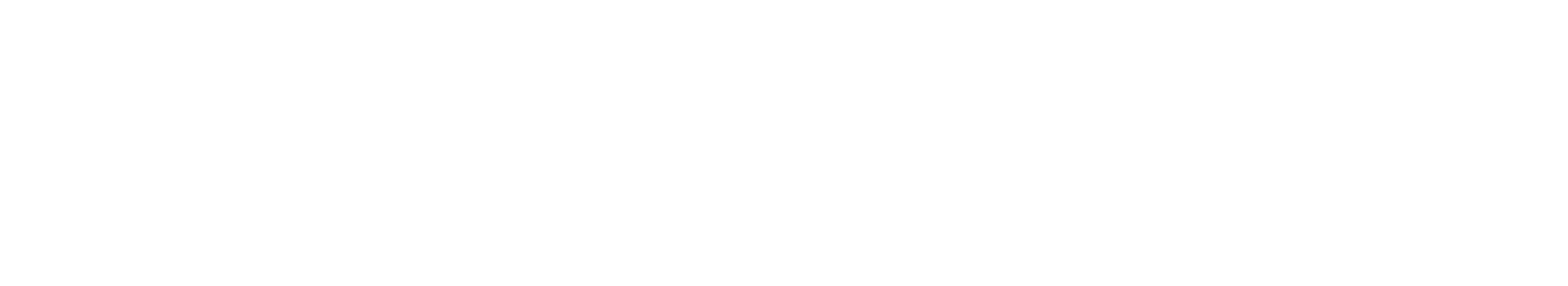Waahe Logo Straight White-1